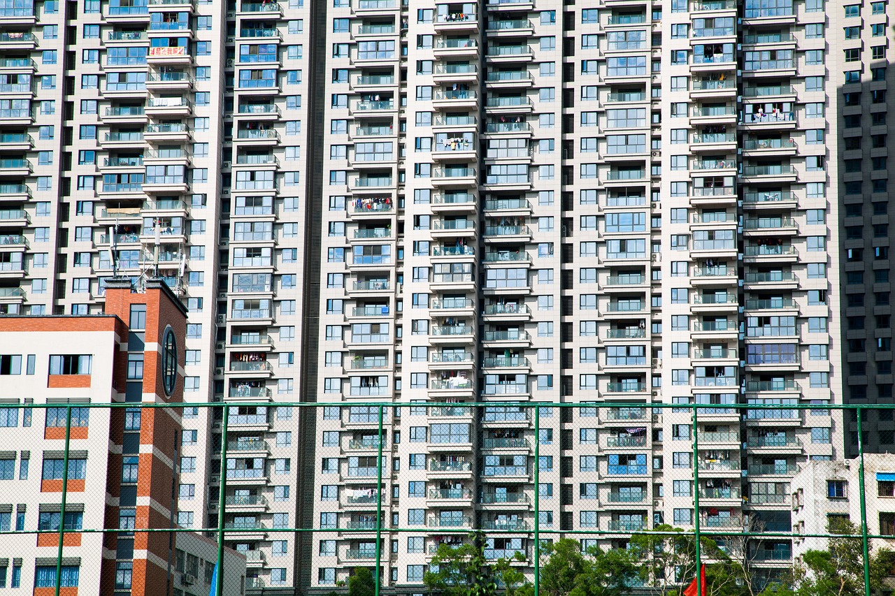 中国物流招标网平台，数字化物流的新篇章