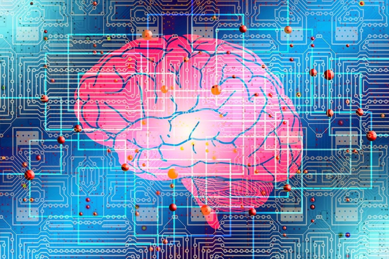 辽宁省政府招标网站，透明化、效率化与数字化的融合